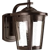 Progress Lighting P6078-2030K9 1-9W LED Wall Lantern [並行輸入品]