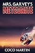 Mrs. Garvey's Meteorite (English Edition)