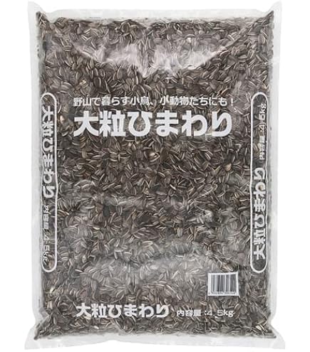 ひまわりの種サマ御依頼品！新浜レオン様セット ひまわり栽培キット - SEISHIN PLUS