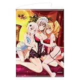 ハイスクールD×D HERO B2タペストリー vol.2 小猫＆グレイフィア＆レイヴェル ハーレム ver.