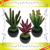 造花 フェイクグリーン 多肉植物 3個セット 黒A サボテン グリーンプラント インテリアグリーン