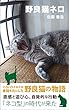 野良猫ネロ