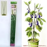 ニチカン：ナス支柱セット 4個セット[組立て簡単] ノーブランド品
