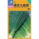 ネギ 種 ネギ博多九条 1L