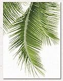 (without frame 25cm X 30cm, Palm Leaves-2) - ChezMax Wall Art Oil Painting on Canvas Print Artwork P