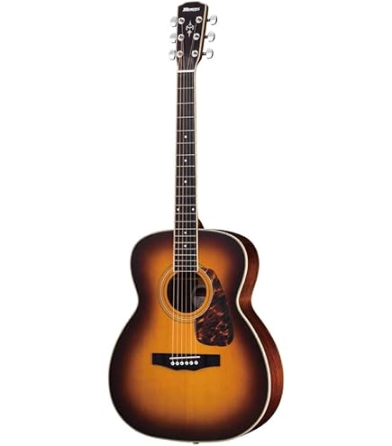 Amazon | Morris F-025 TS スプルース単板トップ モーリス フォーク