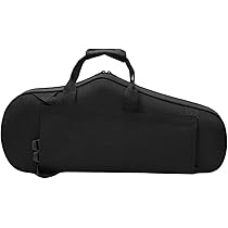 51xWNIFeUFL._AC_UL210_SR210,