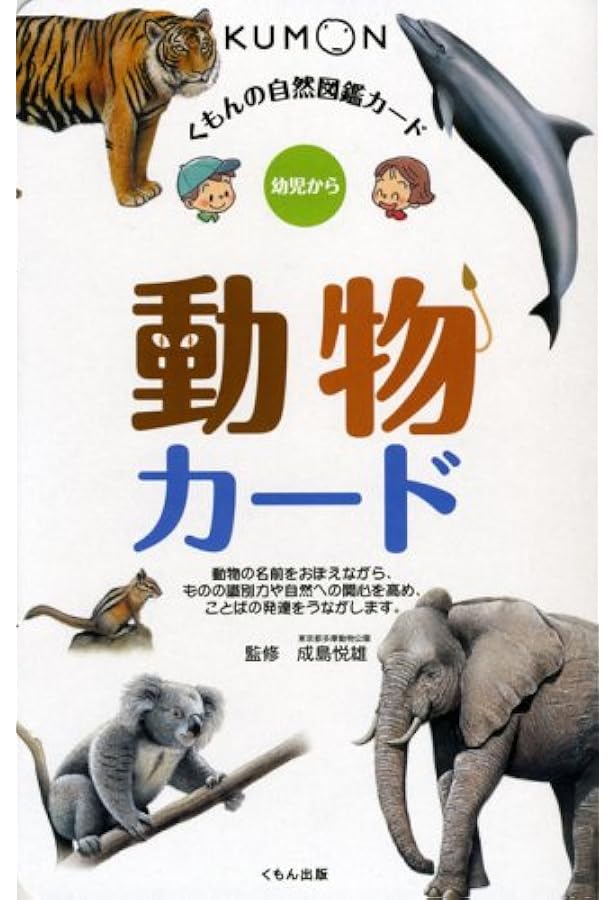 [美品] 公文図鑑カードシリーズ 19種セット 美品] 公文図鑑カードシリーズ 19種セット 美品] 公文図鑑カード