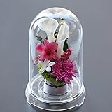 アートフォーシーズン お供え花カラー プリザーブドフラワー (ピンク)