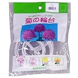 渡辺泰 菊の輪台 白 10.5cm 10個入