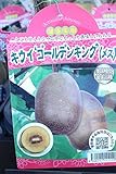 果樹苗　接木　キウイ　ゴールデンキング(メス)　1年生　【送料込価格】
