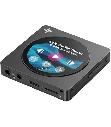 Amazon.co.jp: FIIO Snowsky ECHO MINI FIO-SSEMINI【日本正規販売店