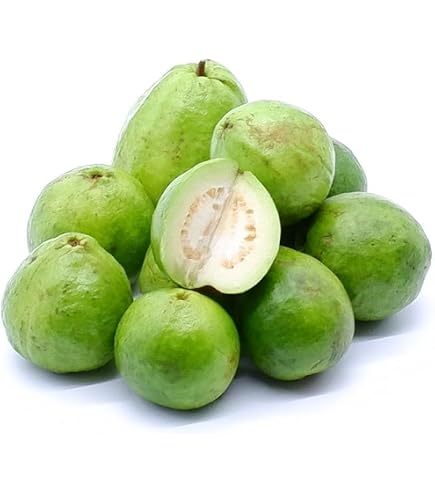 Amazon.co.jp: MDSTORE 沖縄グリーングアバ・Okinawa green guava・Ổi