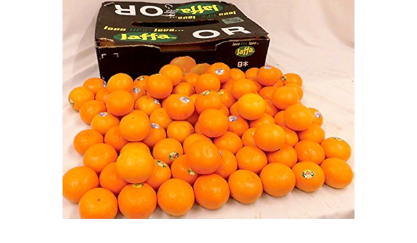 Amazon オア オレンジ 80 90玉前後 約10kg イスラエル産 オアマンダリン 冷蔵便 くらし快援隊 みかん 柑橘類 通販