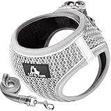 Lil&Fam 犬 ハーネス 胴輪 リードセット 身体に優しい 反射材付き メッシュ 小型犬 中型犬 猫 (ベージュ×グレー, Lサイズ)