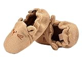 Shineflow　赤ちゃんの歩行練習シューズ　カートーン　室内　滑り止め　三つのサイズ (13cm, 犬)