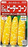 サカタのタネ 実咲野菜1202 ハニーバンタムピーターコーン スイートコーン 00921202