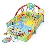 Bright Starts Sunny Safari Baby's Play Place