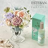 香りを楽しむギフト ESTEBAN 「オルキデ ブランシュ ルームスプレー」と アーティフィシャルフラワーのセット ミックス系 日比谷花壇