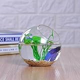 Baosity ガラス　透明　花瓶　水耕　部屋　水耕栽培　金魚鉢　装飾　贈り物　12cm　2個入り