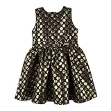Andy & Evanベビーガールズコットンジャカードファンシードレス – Upholsteryファブリックドライフィットドレス – Special Occasionドレス US サイズ: 3/6 カ