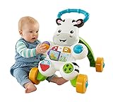 Fisher-Price 私と学ぶゼブラウォーカー/Learn with Me Zebra Walker [並行輸入品]
