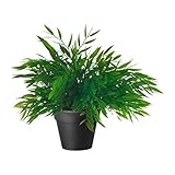 IKEA FEJKA - Artificial potted plant, herbs, assorted - 10 cm by Ikea