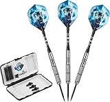 Fat Cat Predator 80% Tungsten Steel Tip Dart Set with Case, 23 Grams [並行輸入品]