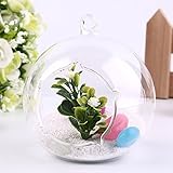 マイクロ風景ガラス花瓶水耕花五芒ボトル装飾世界ストア