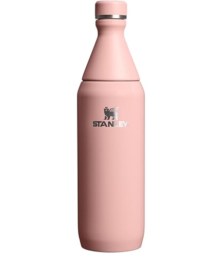Amazon.co.jp: Stanley (スタンレー) IceFlow ファストフロー