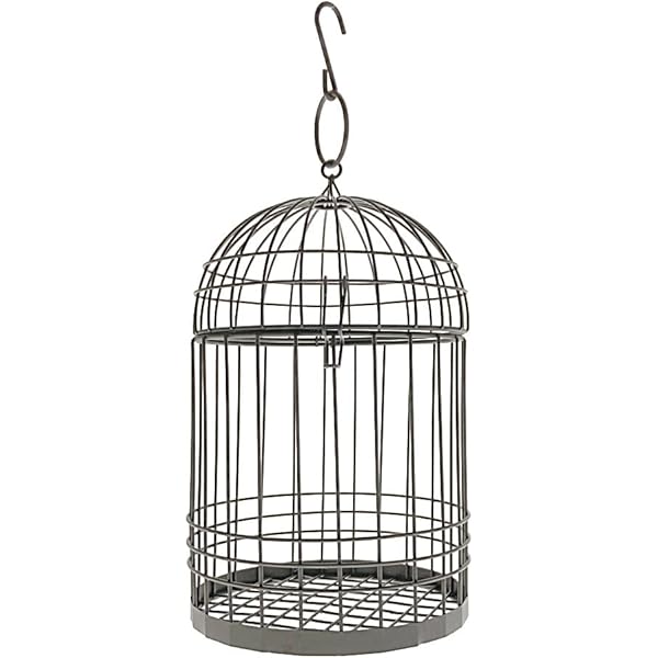 Amazon.co.jp: [バロネスダイレクト] アンティーク調 フラワーバード