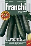 野菜の種 ズッキーニ black jack Hy F.1 146/25