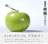 リンゴ クッキングアップル “YDブラムリー”1年生 接ぎ木 苗ワイ性台木苗 果樹苗木 果樹苗