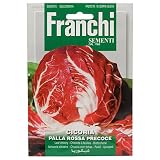 野菜の種 リーフチコリー Palla Rossa Precoce 40/68