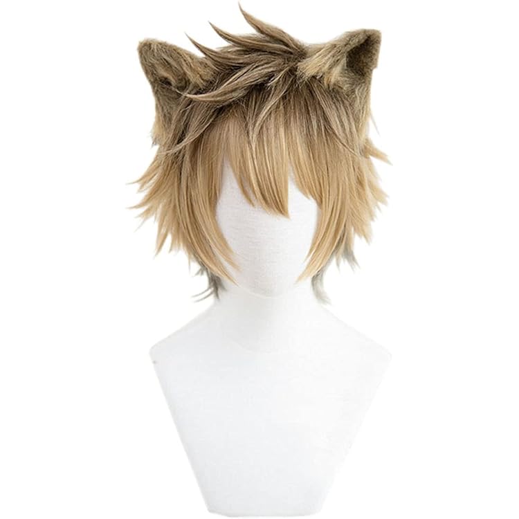 Amazon.co.jp: ラギー・ブッチ コスプレ ウィッグ かつら Ruggie