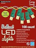 Morris Costumes Holiday Lights 100l m5 warm White by Morris Costumes [並行輸入品]