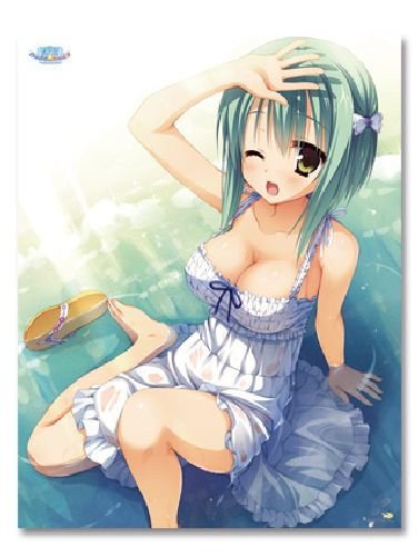 月山瀬奈の妄想 ニコニコ動画