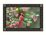 マグネットWorks Matmate – Cardinal Beauty