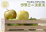 リンゴ クッキングアップル “グラニースミス” 1年生 接ぎ木 苗 果樹苗木 果樹苗 りんご