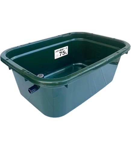 Black Bull 40y 空瓶　箱付き Black Bull 40y 空瓶 箱付き