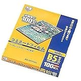 アイリスオーヤマ ラミネートフィルム 100μm B5 サイズ 100枚入 LZ-B5100