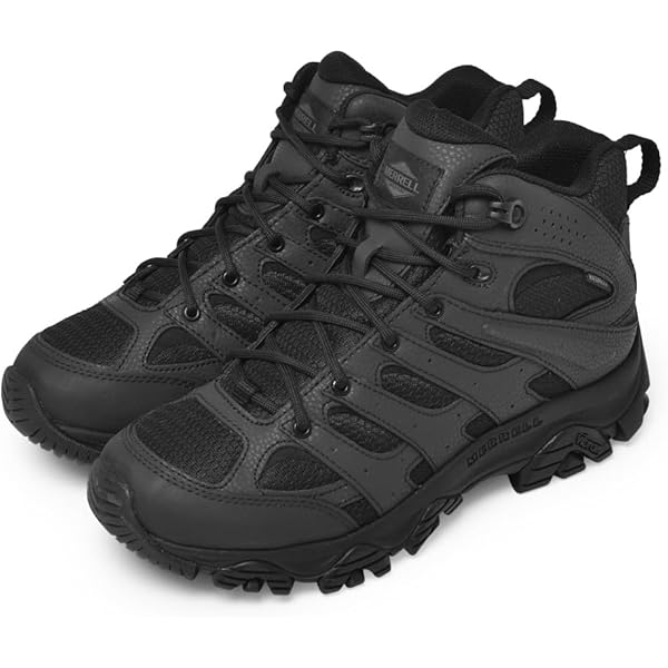 Amazon.co.jp: LOWA タクティカルブーツ ZEPHYR HI TF - 310531 0731