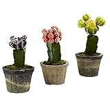 Nearly Natural 4842-S3 Colorful Cactus, Set of 3 by Nearly Natural