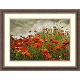 Framed Art Print, Bobbie's Poppies' by David Lorenz Winston: Outer Size 70cm x 50cm