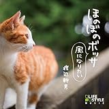 �ق̂ڂ̃{�b�T�`���ɂȂ肽��