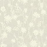 York Wallcoverings lg1381 Queen Annesレース壁紙、Browns