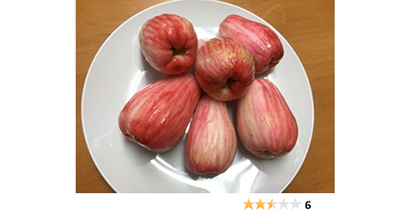 Amazon 大きい沖縄産レンブ１kg 沖縄の八百屋さん トロピカルフルーツ 通販