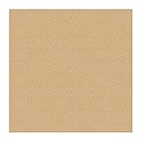 York Wallcoverings Color Expressions Target Block 8 x 10 Wallpaper Memo Sample Tan/Light Brown [並行輸入