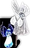 Solar Frosty Angel Lights with Fiber Wings (Set of 2) [並行輸入品]