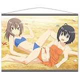痛いのは嫌なので防御力に極振りしたいと思います。2 B2タペストリーC［メイプル＆サリー］